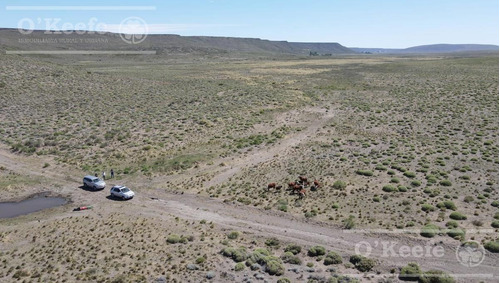 Imagen 9 de 28 de 8.805 Has En Neuquen Venta / Alquiler, Con 18 Km De Costa Del Embalse Piedra Del Águila.
