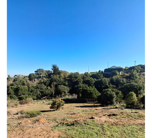 Lomas De Mantagua Parcela 5000 Metros Bungalow 4d 2b