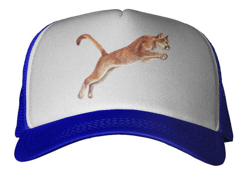 Gorra Puma Saltando Dibujo Colores Art