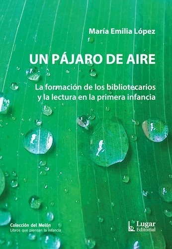 Un Pajaro De Aire - Lopez Maria Emilia (libro)