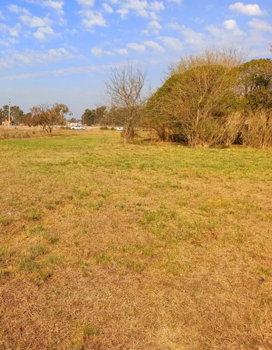 Terreno 2.025 M2 Con Escritura En Cañuelas!