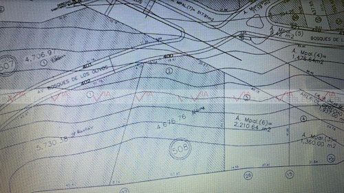 Imagen 4 de 10 de Terreno Residencial En Venta En Bosques De Valle Alto 2 Sect