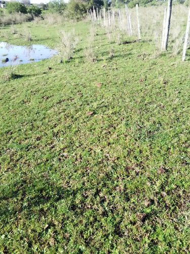 Campo Agrícola Ganadero En Canelones