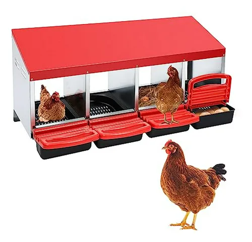 Nido De Gallina Para Huevos, Compatible Con Gallinas.
