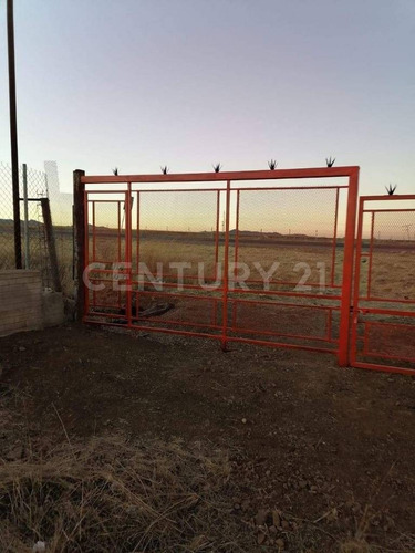 Imagen 4 de 4 de Terreno En Renta Carretera La Junta En Cd. Cuauhtémoc, Chihuahua.