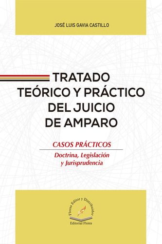 Libro: Tratado Teórico Y Práctico Del Juicio De Amparo. Caso
