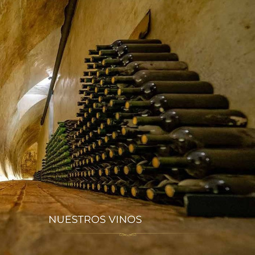 Vino Uruguay De La Colonia - Tempranillo - Merlot