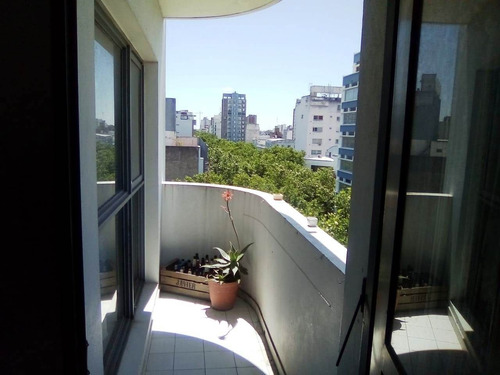 Imagen 3 de 16 de Departamento Centrico 2 Dormitorios En Venta En #laplata