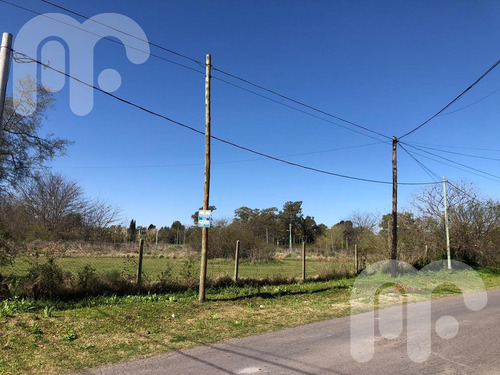 Imagen 3 de 11 de Venta Lote Gonnet