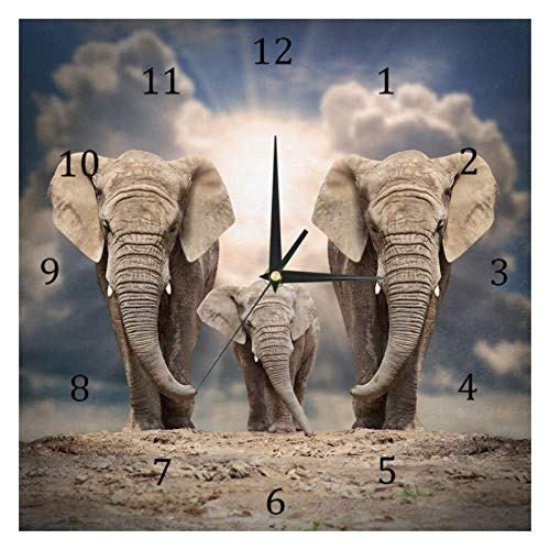 Aisso Reloj De Pared Con Diseño De Elefante Africano, Funcio