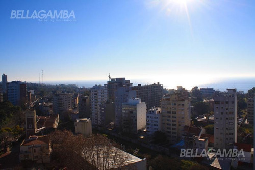 Imagen 14 de 30 de Exclusivo Semipiso En Rosales Park Tower Cochera Fija Cubierta, Full Amenities