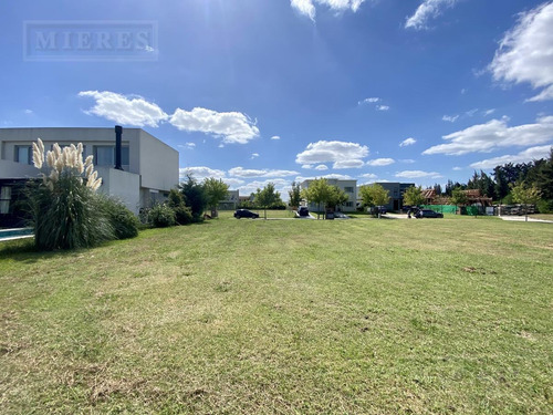 Imagen 7 de 8 de Lote Interno En Venta. Tipas , Nordelta.