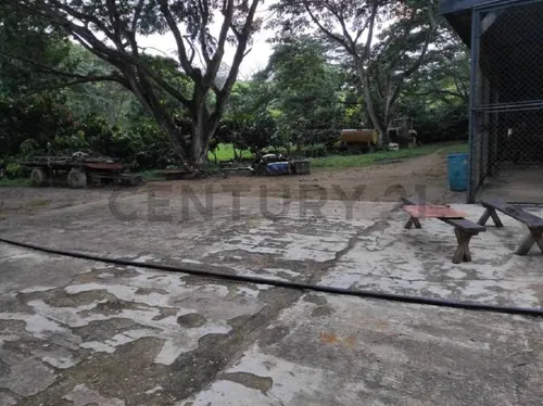 Finca En Venta Las Lapas