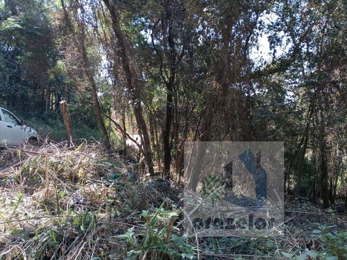 Imagem 7 de 14 de *** Lindo Terreno ***