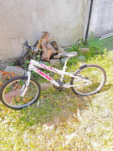 Bicicleta Rodado 20