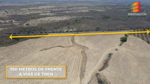 Se Vende Rancho De 186 Hectareas Planas, Tractorables, Limpias En Cuauhtemoc, C