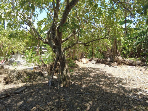 Venta Terreno 1250 M² Col. Manlio Fabio Tuxpan Veracruz