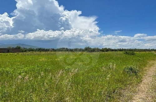 Terreno En Venta En Pinar De La Laguna 27 Atotonilco El Bajo Villa Corona