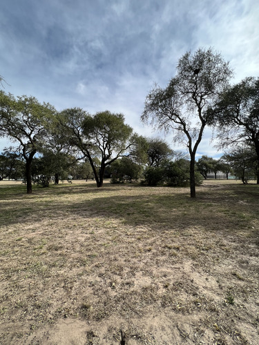 Lote En Venta Causana Central Zona Alta