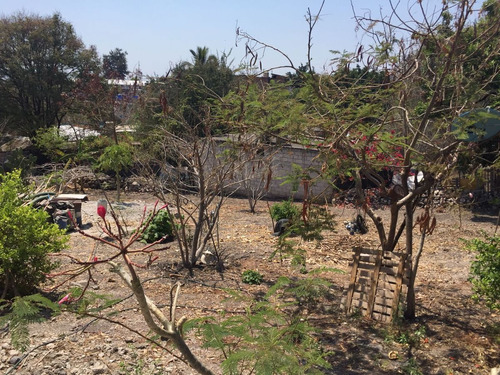 Imagen 5 de 9 de Terreno En Venta En Morelos