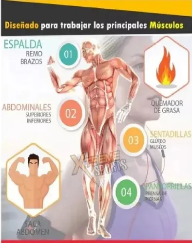 Maquina Ejercicios Body Crunch De Piston Hidraulic 12 Nivels (Usado)