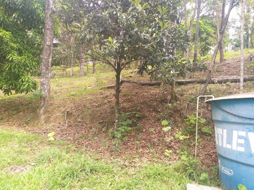 Terreno À Venda, Parque Pretoria - Franco Da Rocha/sp - 2171