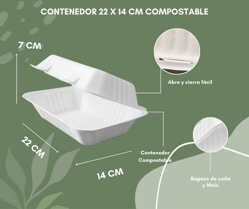 Contenedor Compostable De Alimentos 22 X 14 Cm - 100 Pz