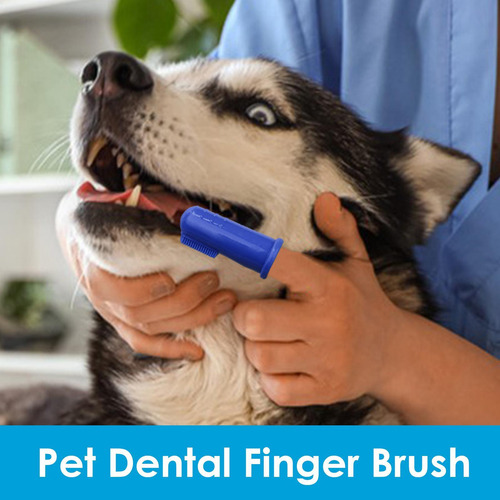 Cepillo De Dientes Para Perros Cepillo De Dientes Para Perro