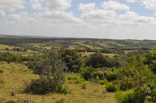 Imagen 9 de 30 de Venta Chacra 5 Has Ubicada En Jose Ignacio Proximo A Garzon