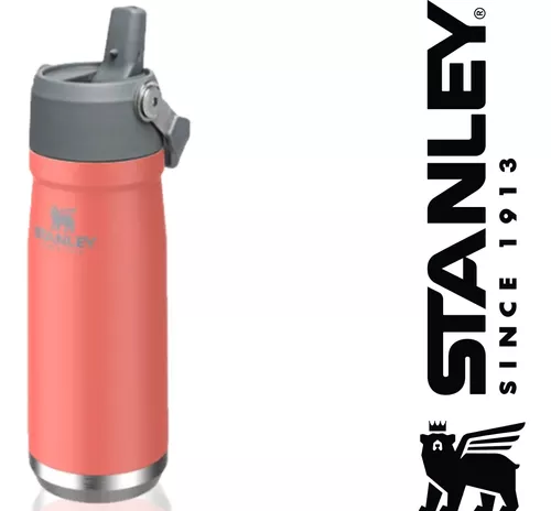Garrafa Termica Stanley Flip Straw Water Bottle 651 Ml