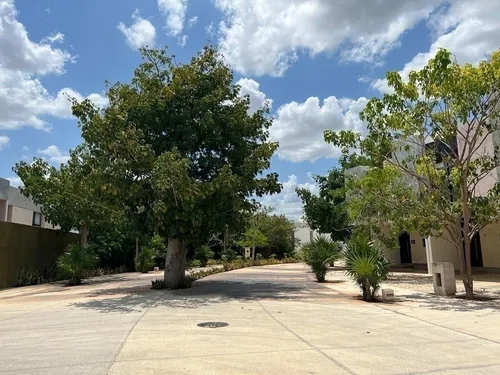 Casa(b) En Venta En Navita, Santa Gertrudis Copó.