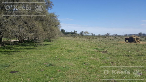 Imagen 4 de 22 de Chacra De 28 Has En Venta - Casco Y Producción
