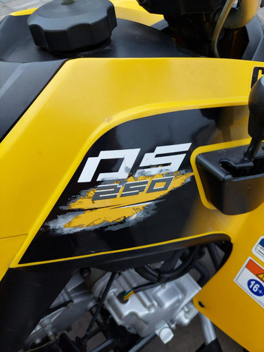 Imagen 9 de 16 de Cuatriciclo Can-am Ds 250