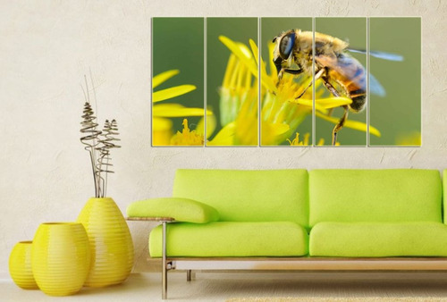 Cuadro 50x100cm Abeja Flores Miel Panal M8