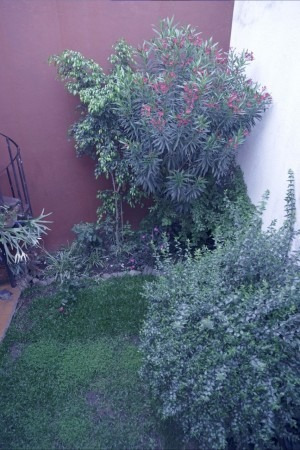 Imagen 6 de 23 de Hermosa Casa 5 Amb Con Jardín En Parque Chacabuco
