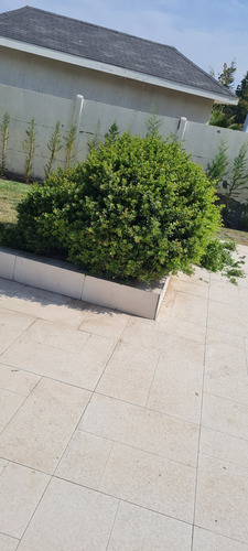 Construcción De Jardines Mantenimiento I Riegos Automáticos