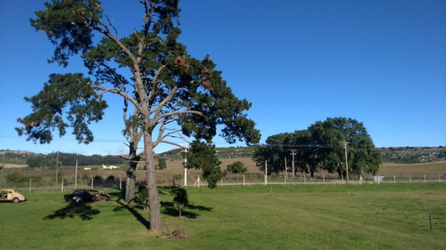 Campo En Venta Provincia De Buenos Aires Ruta 226