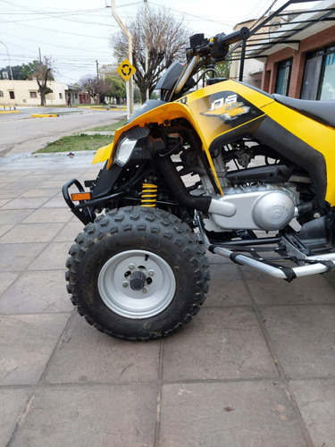 Imagen 3 de 16 de Cuatriciclo Can-am Ds 250