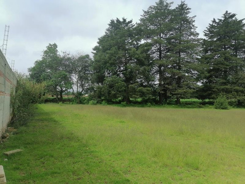 Imagen 7 de 12 de Terreno En Venta Santo Tomás Allende