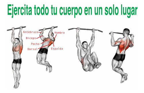 Maxi Fit B3rn Barra Multifuncional Para Dominadas