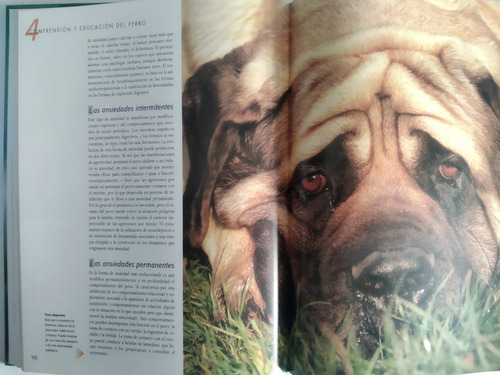 Imagen 6 de 8 de Larousse Del Perro