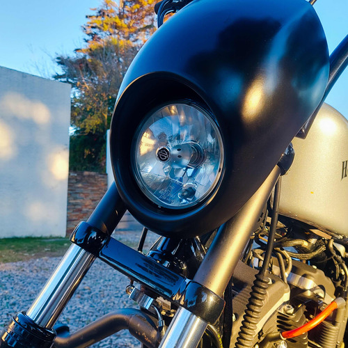 Imagen 17 de 19 de Harley Davidson Sportster Iron 883
