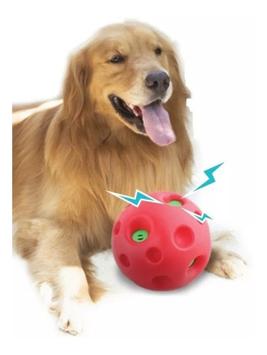 Brinquedo Bola Com Som Engraçado Para Cães Border Collie 