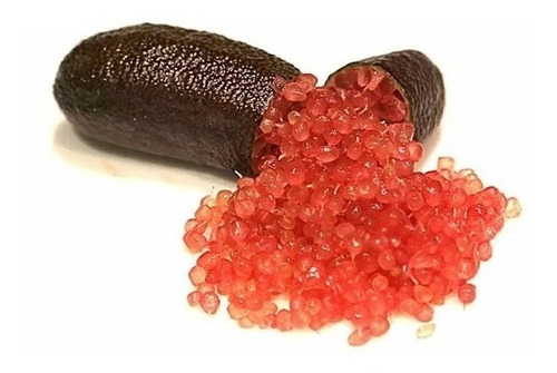 Limon Dedo Finger Lime Caviar Citrico No Semilla Envió