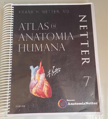 Atlas Netter 7ma Edición