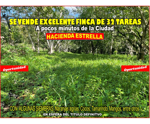 Vendo Finca De 32 Tareas En Hacienda Estrella,  A 30 Minutos De La Ciudad, Solo Rd$1,950,000.00