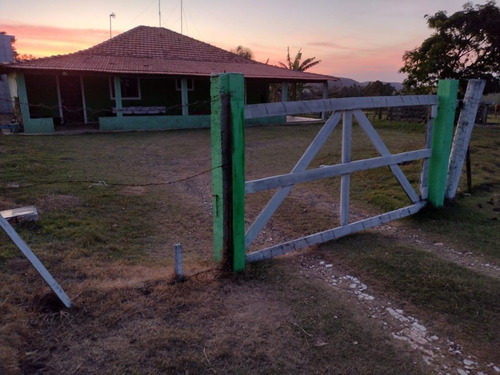 Imagem 3 de 10 de Sítio 1 Alquere,bem Cercado,facil Acesso,cheio De Vida,casa 3 Dorms,sala,cozinha,banheiro,lavanderia,3 Vagas Garagem - Ch00074 - 69450238