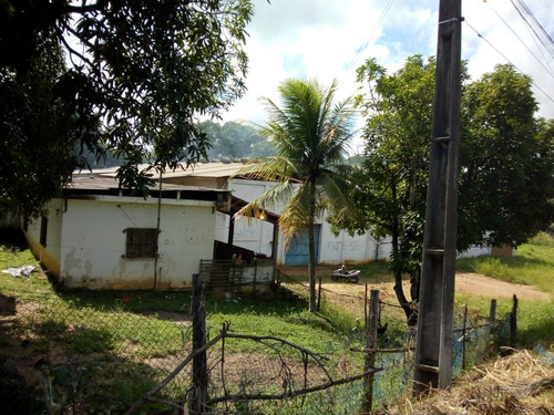 Imagem 1 de 11 de Galpão À Venda, 1597 M² Por R$ 2.000.000,00 - Centro - Itapissuma/pe - Ga0172
