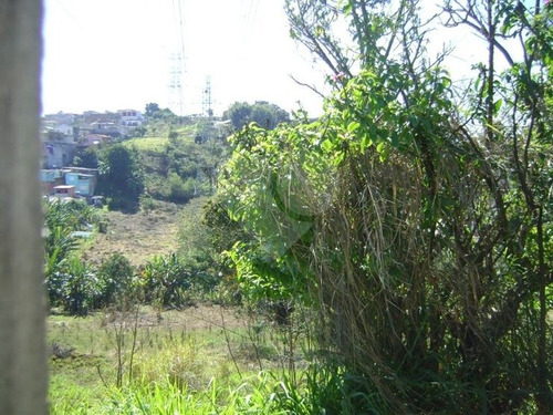 Comercial-são Paulo-jaraguá | Ref.: 353-im141883 - 353-im141883