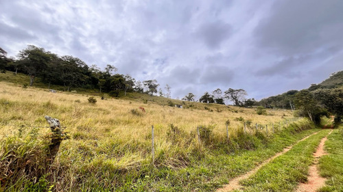Sítio Deslumbrante Com Água Própria E Vista Eterna